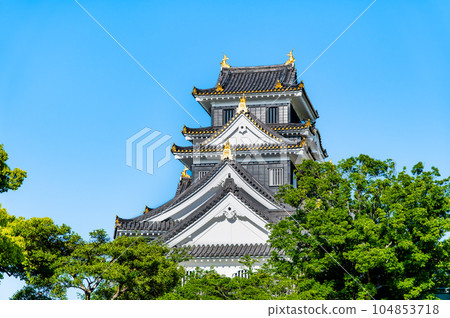 岡山城 漆黑的天守閣 岡山城 漆黑的天守閣 104853718