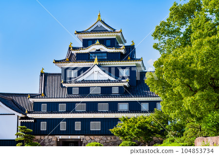 岡山城 漆黑的天守閣 104853734