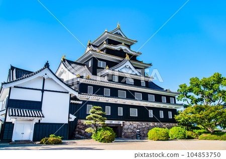 岡山城 漆黑的天守閣 104853750