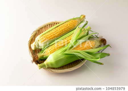 Corn (Dolce Dream) 104853979
