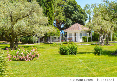 Picturesque view of the Mediterranean landscape with a beautiful lawn, a small farmhouse and olive and cypress trees, sunny summer day Picturesque view of the Mediterranean landscape with a beautiful lawn, a small farmhouse and olive and cypress trees, sunny summer day 104854221