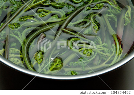 Bracken 104854492