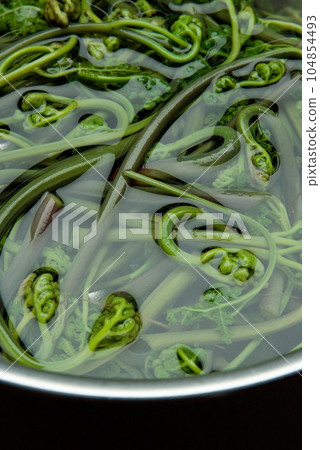 Bracken 104854493