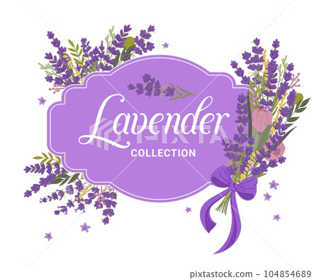 Lavender floral frame. Violet and purple flowers and herbs. Vector border in rustic Provence style aesthetic with lilac wildflowers for advertising natural skincare, spa or aromatherapy products 104854689