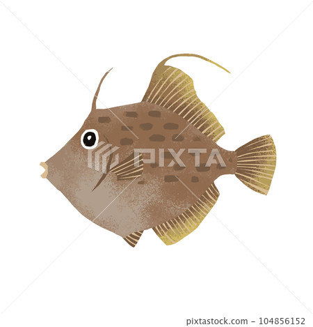 Filefish illustration material Filefish illustration material 104856152