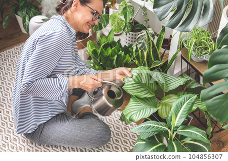 A young woman enjoys caring for flowers. Watering indoor plants and admiring them. 104856307