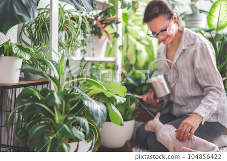 A young woman enjoys caring for flowers. Watering indoor plants and admiring them. Pink sphinx cat. A young woman enjoys caring for flowers. Watering indoor plants and admiring them. Pink sphinx cat. 104856422