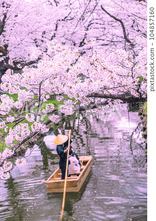 埼玉縣川越市新河岸川櫻花盛開 埼玉縣川越市新河岸川櫻花盛開 104857160