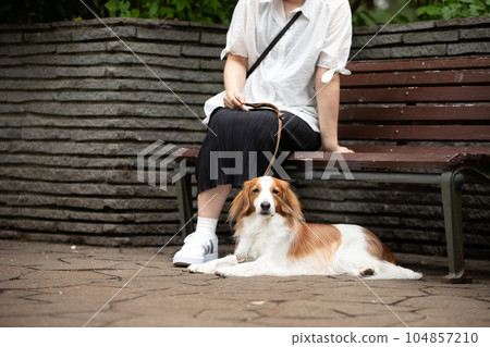 女人和狗在公園長椅上休息 女人和狗在公園長椅上休息 104857210