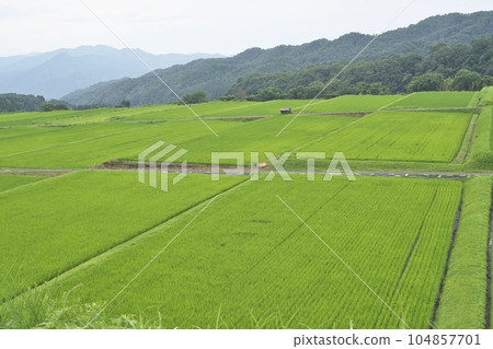 Mitsuku Mitsume梯田 104857701