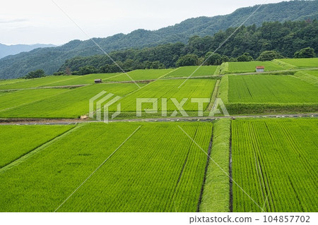 Mitsuku Mitsume梯田 104857702