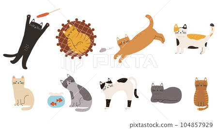 一隻貓做各種姿勢的插圖 一隻貓做各種姿勢的插圖 104857929