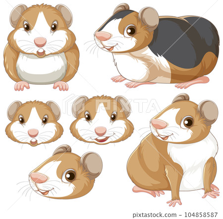 Set of hamster rodents cartoon character Set of hamster rodents cartoon character 104858587