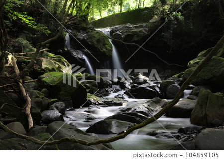靜岡縣加茂郡河津町大田瀑布 104859105