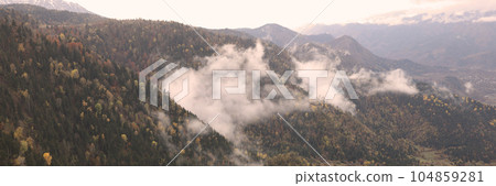 Beautiful landscape with foggy mountains and forest. 104859281