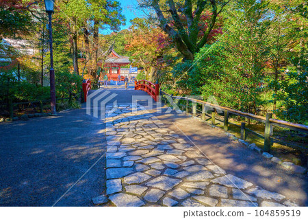 View towards Maiden from the red bridge over Yanagihara God Pond at Tsurugaoka Hachimangu Shrine in Kamakura City in autumn 104859519