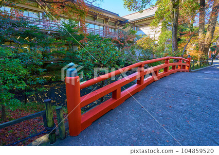 秋季從鎌倉市鶴岡八幡宮柳原神池的紅橋到柳原休息處（咖啡廳） 104859520