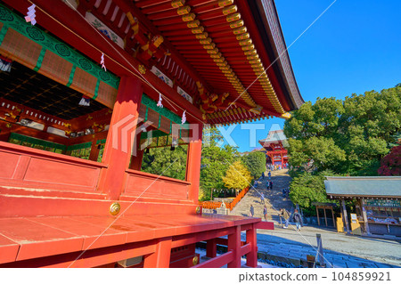 秋天的神奈川縣鎌倉市鶴岡八幡宮 104859921