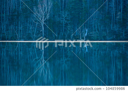 白樺骨林 白樺骨林 104859986