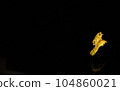 isolated golden dragon ring on black background 104860021