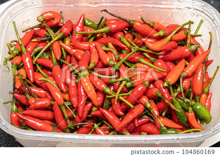 Set of collected pepper berries Set of collected pepper berries 104860169