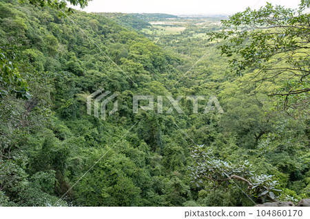 green forest lookout top view 104860170