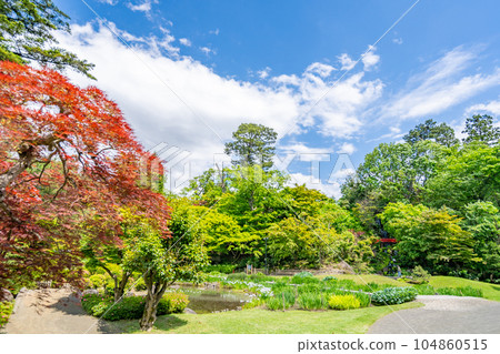 藤田紀念花園 104860515