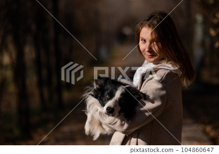 Caucasian woman holding a border collie in her arms while walking in the autumn park. Portrait of a girl with a dog. Caucasian woman holding a border collie in her arms while walking in the autumn park. Portrait of a girl with a dog. 104860647