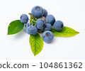 blueberry fruit and leaves 104861362