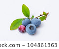 blueberry fruit and leaves 104861363
