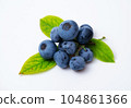 blueberry fruit and leaves 104861366