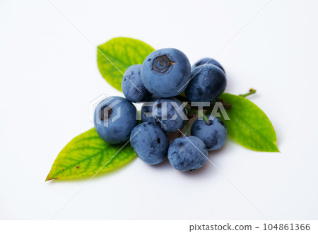 藍莓果實和葉子 藍莓果實和葉子 104861366