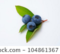 blueberry fruit and leaves 104861367