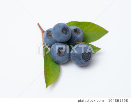 藍莓果實和葉子 104861368