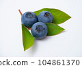 blueberry fruit and leaves 104861370