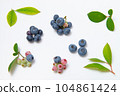 blueberry fruit and leaves 104861424