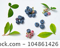 blueberry fruit and leaves 104861426