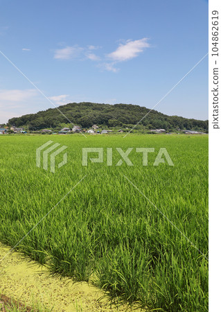 鄉村景觀 鄉村景觀 104862619