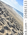 Tottori sand dunes 104863133