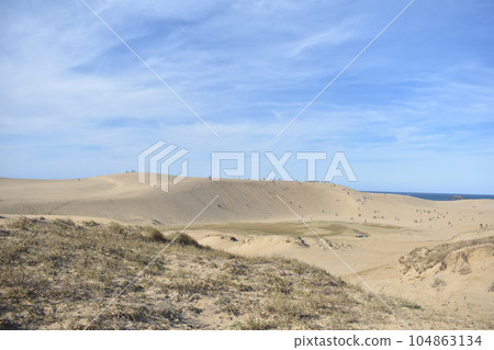 Tottori sand dunes Tottori sand dunes 104863134
