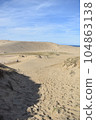 Tottori sand dunes 104863138