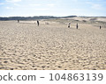 Tottori sand dunes 104863139