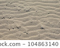 Tottori sand dunes 104863140