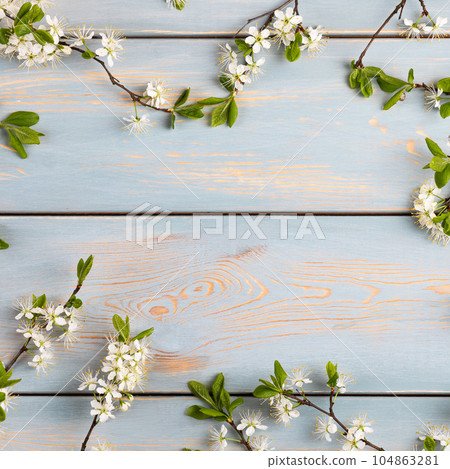 Fresh branches of cherry white blossoms on blue wooden table. Empty place for inspirational, motivational text or quote. Mockup for special offers as advertising or other ideas. Fresh branches of cherry white blossoms on blue wooden table. Empty place for inspirational, motivational text or quote. Mockup for special offers as advertising or other ideas. 104863281