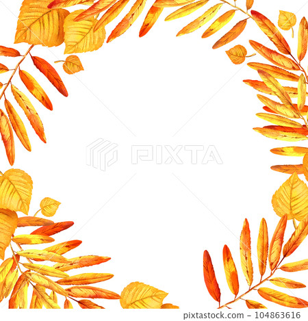 watercolor square frame with autumn leaves, wreath of autumn leaf, hand drawn illustration of yellow and orange maple leaves, mountain ash leaves, sketch isolated on white background 104863616