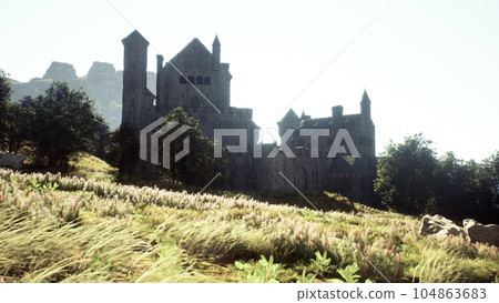 Aerial view ruins of medieval castle Aerial view ruins of medieval castle 104863683