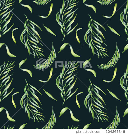 Palm leaves of acai tree watercolor seamless pattern isolated on dark. Green brunch of tropical palm, exotic leaf hand drawn. Design element for wrapping, packaging, textile, background, paper 104863846