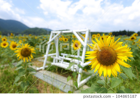 Himawari Tamakicho 104865187