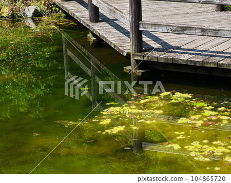 Promenade reflected on the surface of the pond Promenade reflected on the surface of the pond 104865720