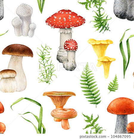 Forest mushrooms with greens seamless pattern. Watercolor illustration. Hand painted king bolete, fly agaric, chanterelle with fern and green grass seamless pattern. White background 104867095